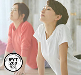 初心者向けコース