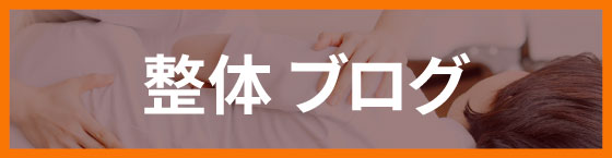 整体ブログ